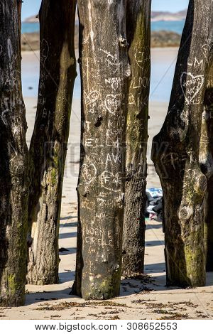 Big Breakwater, 3000 Trunks To Defend The City From The Tides, Plage De L Eventail Beach In Saint-ma