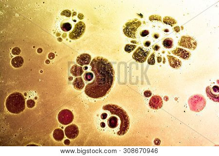 Oil Bubbles Inside Water Base Form Patterns