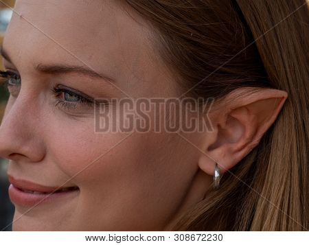 Became A Elf