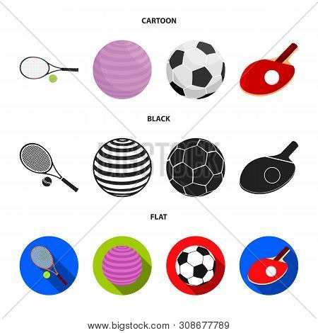 Vector Illustration Of Ball And Soccer Sign. Set Of Ball And Basketball Stock Vector Illustration.