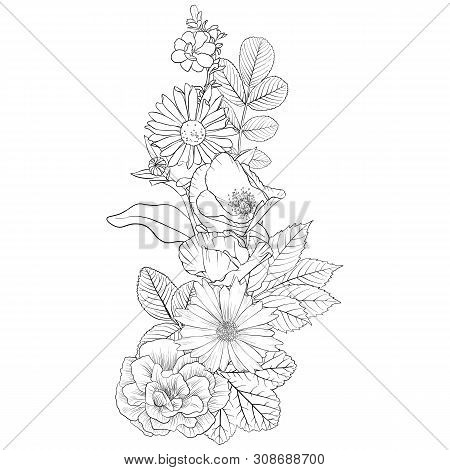 Vector Drawing Flowers, Decorative Rosette, Stylized Designtemplate, Isolated Floral Element, Hand D