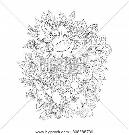 Vector Drawing Flowers, Decorative Rosette, Stylized Designtemplate, Isolated Floral Element, Hand D