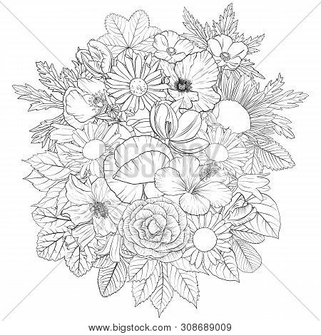 Vector Drawing Flowers, Decorative Rosette, Stylized Designtemplate, Isolated Floral Element, Hand D