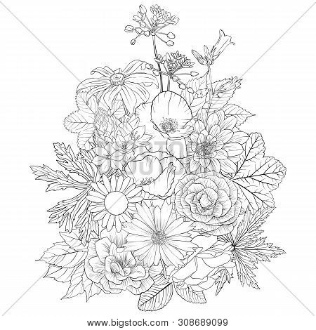 Vector Drawing Flowers, Decorative Rosette, Stylized Designtemplate, Isolated Floral Element, Hand D