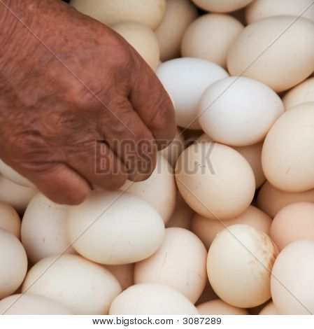 계란, 계란, 달걀