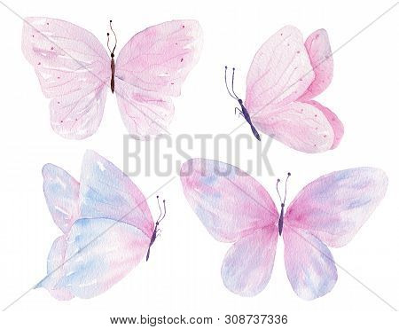 Butterflies Hand Drawn Watercolor Raster Illustrations Set