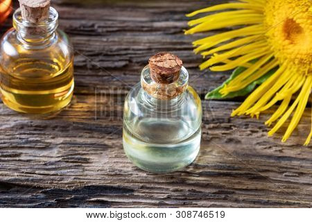 A Bottle Of Elecampane Essential Oil With Fresh Inula Helenium Flowers