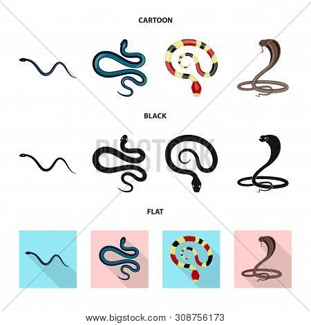 Vector Design Of Mammal And Danger Icon. Collection Of Mammal And Medicine Vector Icon For Stock.