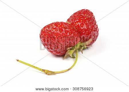 Ugly Organic Heirloom Home Grown Strawberries Isolated On White Background. Juicy Sweet Red Heiroom 