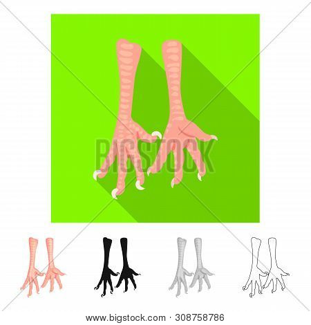Vector Illustration Of Paws And Chicken Icon. Set Of Paws And Leg Stock Symbol For Web.