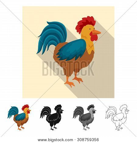 Vector Design Of Cock And Bird Symbol. Set Of Cock And Husbandry Stock Vector Illustration.