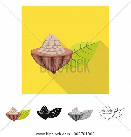 Vector Illustration Of Seed And Chocolate Icon. Set Of Seed And Fresh Vector Icon For Stock.
