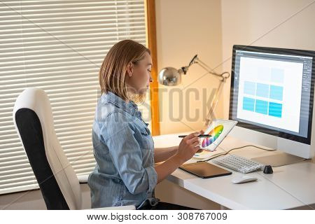 Artist Creative Designer.web Development.work With Color.flane Illustrator Graphic Skill Concept
