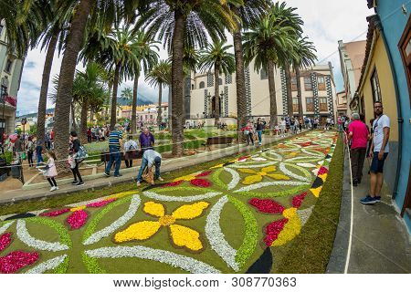 La Orotava, Tenerife, Spain - June 27, 2019. Beautiful Flower Carpets In La Orotava During Corpus Ch