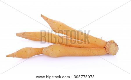 A Fresh Fingerroot With On White Background