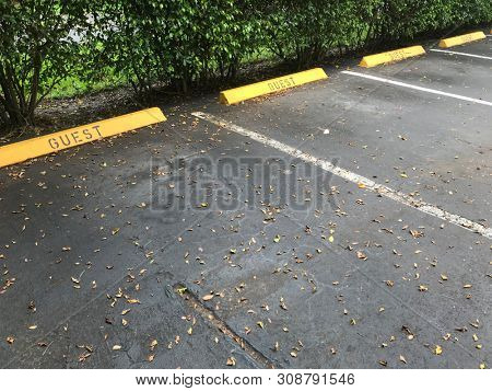 close up empty guest parking space on parking lot