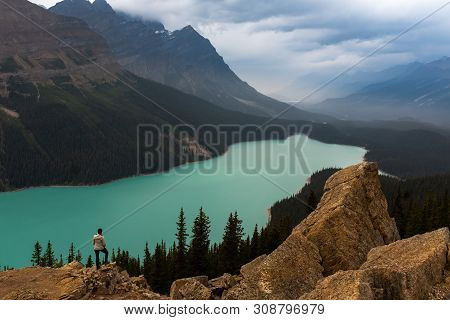 Panoramic View Of Turquoise Lake Peyto With Surrounding Mountains And Forest In The Valley Sunny Sum