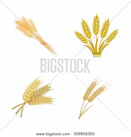 Bitmap Design Of Wheat And Stalk Logo. Set Of Wheat And Grain Stock Bitmap Illustration.