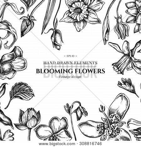 Floral Design With Black And White Ylang-ylang, Impatiens, Daffodil, Tigridia, Lotus, Aquilegia Stoc