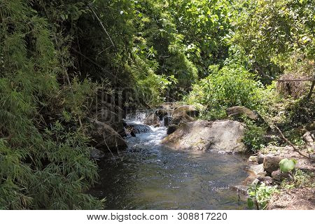 Small Stream In Volcan Baru National Park Panama