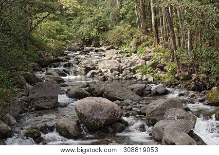 Small Stream In Volcan Baru National Park Panama