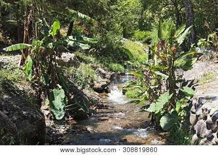 Small Stream In Volcan Baru National Park Panama