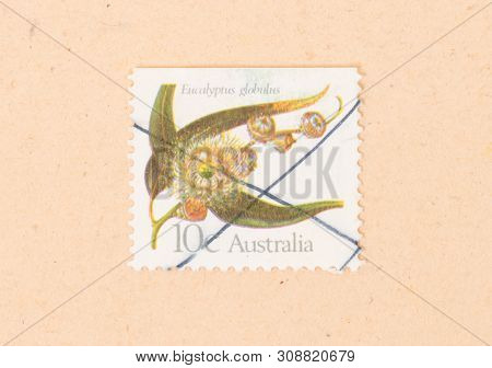 Australia - Circa 1970: A Stamp Printed In Australia Shows A Flower (eucalyptus Globulus), Circa 197