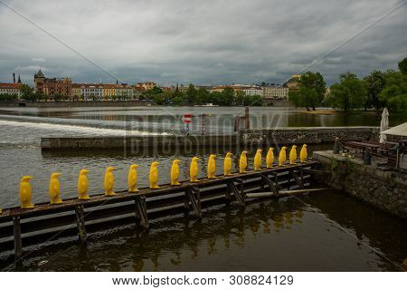 Prague, Czech Republic: The Penguins Installation By The Cracking Art Group At Kampa Park, Prague.