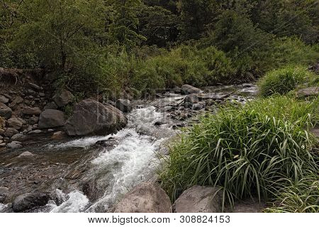 Small Stream In Volcan Baru National Park Panama
