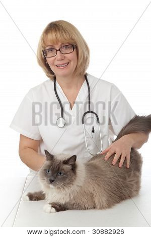 Veterinario con gato
