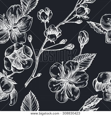 Seamless Pattern With Hand Drawn Chalk Sakura Stock Illustration