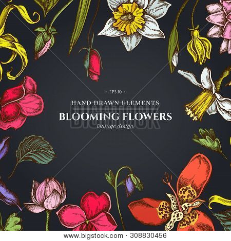 Floral Design On Dark Background With Ylang-ylang, Impatiens, Daffodil, Tigridia, Lotus, Aquilegia S