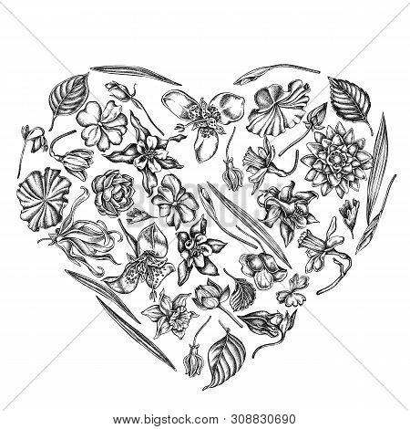 Heart Floral Design With Black And White Ylang-ylang, Impatiens, Daffodil, Tigridia, Lotus, Aquilegi