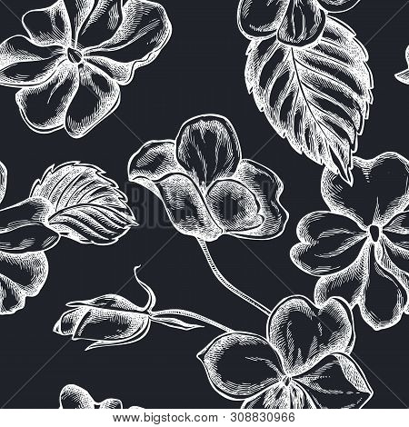Seamless Pattern With Hand Drawn Chalk Impatiens Stock Illustration