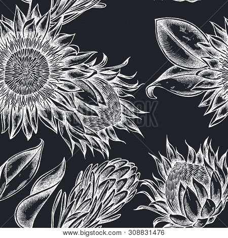 Seamless Pattern With Hand Drawn Chalk King Protea Stock Illustration