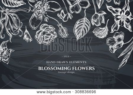 Floral Design With Chalk Ylang-ylang, Impatiens, Daffodil, Tigridia, Lotus, Aquilegia Stock Illustra