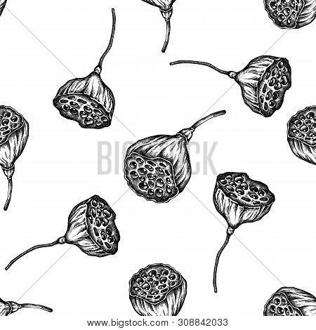 Seamless Pattern With Black And White Lotus Stock Illustration