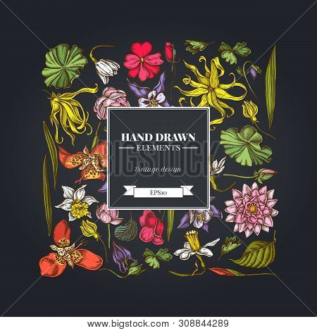 Square Floral Design On Dark Background With Ylang-ylang, Impatiens, Daffodil, Tigridia, Lotus, Aqui