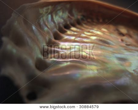 Farverige Nacre Closeup