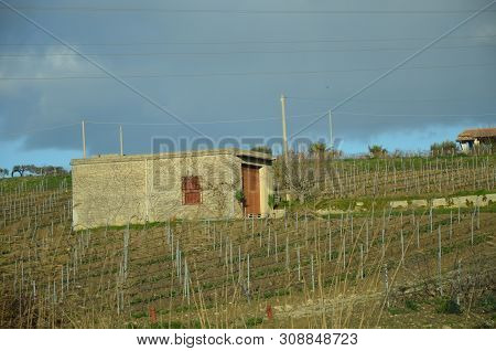 The Territory Of City Of Sambuca, Sicily