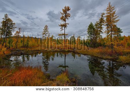 Russia. Magadan Region. The Amazing Beauty Of The Autumn Of The Far East. The Lake Maxi