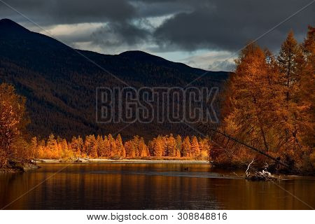 Russia. Far East. The Colours Of Autumn Are Cold-water Rivers Of Magadan.