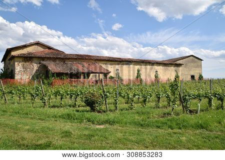 An Ancient Wine Farm With Its Vineyard - Franciacorta - Italy
