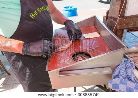 Scheveningen, The Netherlands - June 23 2019: Fish Retailer Cleaning New Season Herring For Eating A