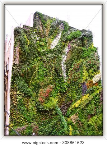 Flowers Buildind In Greece Beautiful Background And Wallpapers In High Quality Prints Products