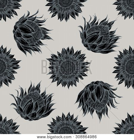 Seamless Pattern With Hand Drawn Stylized King Protea Stock Illustration