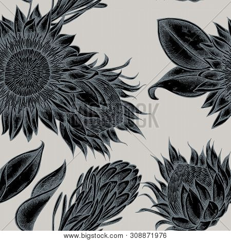Seamless Pattern With Hand Drawn Stylized King Protea Stock Illustration