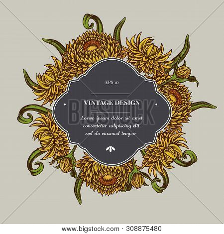 Badge Over Design With Helichrysum Stock Illustration