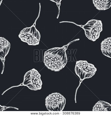 Seamless Pattern With Hand Drawn Chalk Lotus Stock Illustration