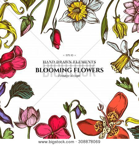 Floral Design With Colored Ylang-ylang, Impatiens, Daffodil, Tigridia, Lotus, Aquilegia Stock Illust